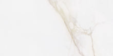 Diamond Gold Polished 60x120cm