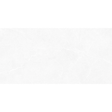 Chicago Light Grey 30x60cm