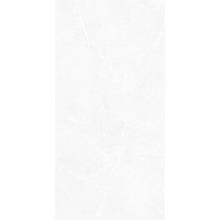 Chicago Light Grey 30x60cm