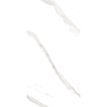 Infinity Ryan Statuario 60x120cm