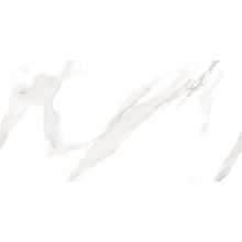 Infinity Ryan Statuario 60x120cm