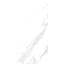 Statuario Leo Brillo 120x60cm